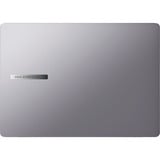 ASUS ExpertBook P5 (P5405CSA-NZ0778X), Notebook grau, Intel® Core™ Ultra 7 258V, Intel® Arc™ Graphics 140V, 32 GB LPDDR5X, 1 TB (1 TB SSD), Windows 11 Pro 64-Bit