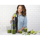 nutribullet Slow Juicer NBJ500, Entsafter grau/schwarz, 150 Watt