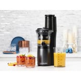 nutribullet Slow Juicer NBJ500, Entsafter grau/schwarz, 150 Watt