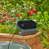 GARDENA Solar-Bewässerung AquaBloom L Set, Bewässerungssteuerung grau/türkis, für bis zu 30 Pflanzen
