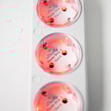 Shelly Weihnachtsbundle 1, Set 