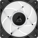ARCTIC P12 Pro A-RGB LN, Gehäuselüfter schwarz, 3er Pack, 120 mm