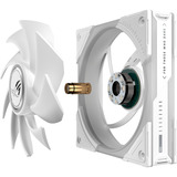 ASUS ROG Eurux GR120 ARGB, Gehäuselüfter weiß, 122 mm