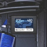 Patriot Burst Elite 480 GB, SSD schwarz, SATA 6 Gb/s, 2,5"