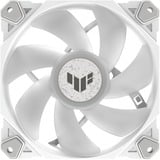 ASUS TUF Gaming TF120 ARGB-Gehäuselüfter White Edition 3IN1 weiß, 3er Pack, inkl. ARGB-Controller, 120 mm