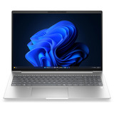 HP EliteBook 6 G2a (E02FXET), Notebook silber, AMD Ryzen 7 PRO 250, AMD Radeon 780M, 32 GB LPDDR5X, 1 TB (1 TB SSD), Windows 11 Pro