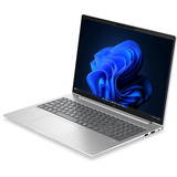 HP EliteBook 6 G2a (E02FXET), Notebook silber, AMD Ryzen 7 PRO 250, AMD Radeon 780M, 32 GB LPDDR5X, 1 TB (1 TB SSD), Windows 11 Pro