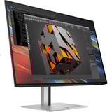 HP Pro 724pn, LED-Monitor 61 cm (24 Zoll), silber/schwarz, WUXGA, IPS, HDMI, DP, USB-Hub, 100Hz Panel