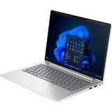 HP EliteBook 645 G11 (9C0H2EA), Notebook silber, AMD Ryzen 5 7535U, AMD Radeon 660M, 8 GB DDR5, 256 GB (256 GB SSD), Windows 11 Pro