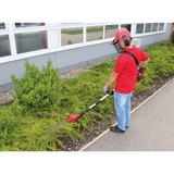 EINHELL Akku-Multifunktions-Werkzeug GE-HC 18Li T Kit, 18 Volt, Hochentaster rot, Li-Ion-Akku 3,0Ah