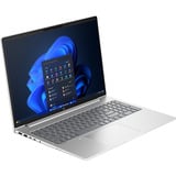 HP ProBook 4 G1i (AD2N7ET), Notebook silber, Intel® Core™ Ultra 5 225U, Intel® Graphics, 16 GB DDR5, 512 GB (512 GB SSD), Windows 11 Pro