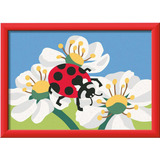 Ravensburger CreArt - Marienkäfer, Malen 