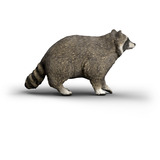 Schleich Wild Life Waschbär, Spielfigur 