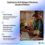 HP OmniBook Ultra 14-fd0094ng, Notebook silber, AMD Ryzen AI 9 365, AMD Radeon 880M, 16 GB LPDDR5X, 1 TB (1 TB SSD), Windows 11 Home 64-Bit