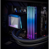 ADATA DIMM 16 GB DDR5-6000, Arbeitsspeicher schwarz, AX5U6000C3016G-CNKRBK, XPG NOVAKEY RGB Black, INTEL XMP, AMD EXPO