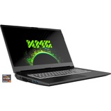 XMG APEX 17 (10505924), Gaming-Notebook grau, Windows 10 Home 64-Bit, 144 Hz Display
