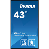 iiyama LH4360UHS-B2AG, Public Display schwarz (matt), UltraHD/4K, VA, Lautsprecher