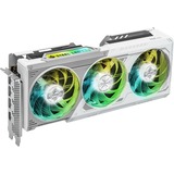 ASRock Intel® Arc B580 Steel Legend 12GB OC, Grafikkarte 