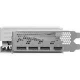 ASRock Intel® Arc B580 Steel Legend 12GB OC, Grafikkarte 