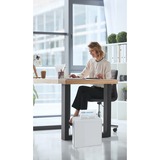 Peach Partikelschnitt Aktenvernichter PS500-15 schwarz/silber