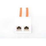 Digitus Konsolidierungs-Punkt Gehäuse, für 2x Keystone Module weiß, Aufputzbox, 2-Port