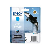 Epson Tinte cyan C13T76024010 