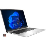 HP EliteBook 865 G9 (6F6H4EA), Notebook silber, Windows 11 Pro 64-Bit, 512 GB SSD