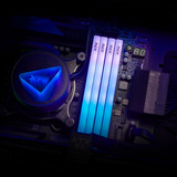 ADATA DIMM 16 GB DDR5-6000, Arbeitsspeicher schwarz, AX5U6000C3616G-SLABRBK, XPG Lancer Blade RGB, INTEL XMP, AMD EXPO