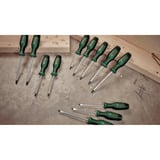 Bosch Heimwerken & Garten Schraubendreher+Magnetisierer Set, 6-teilig grün/schwarz, +Magnetisierer, Schlitz und Kreuzschlitz PH/TX