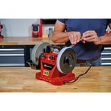 EINHELL Nass-Schleifer TC-WG 200, Doppelschleifer rot/schwarz, 125 Watt