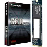 GIGABYTE NVMe SSD V2 256GB PCIe 3.0 x4, NVMe 1.4, M.2 2280