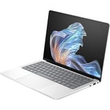 HP EliteBook X G1a (B66TFAT), Notebook silber, AMD Ryzen AI 7 PRO 360, AMD Radeon 880M, 32 GB LPDDR5X, 1 TB (1 TB SSD), Windows 11 Pro 64-Bit