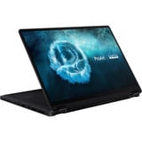 ASUS ProArt PX13 GoPro Edition (HN7306EAC-LX089X), Notebook schwarz, AMD Ryzen AI Max+ 395, AMD Radeon 8060S, 128 GB LPDDR5X, 2 TB (2 TB SSD), Windows 11 Pro