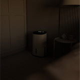 Meaco MecoDry Arete Two 12L Luftentfeuchter und Reiniger weiß/schwarz