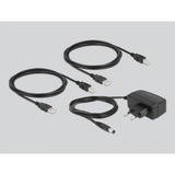 DeLOCK USB 2.0 Switch für 4 PC an 4 Geräte, USB-Switch 