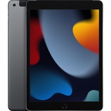 Apple iPad 10,2 256GB, Tablet-PC grau, LTE, Gen 9 / 2021, NON DEP