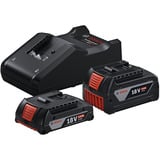 Starter-Set 18V (GBA 18V 4,0/2,0Ah + GAL 18V-40 Professional)