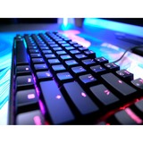 CHERRY XTRFY MX 3.1, Gaming-Tastatur schwarz, DE-Layout, Cherry MX2A Red