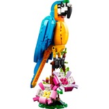 LEGO 31136 Creator 3-in-1 Exotischer Papagei, Konstruktionsspielzeug 