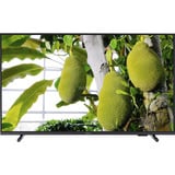 Philips 55PUS7000, LED-Fernseher 139 cm (55 Zoll), schwarz, UltraHD/4K,Triple Tuner, WLAN, Bluetooth