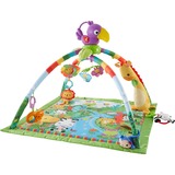Fisher-Price Rainforest Erlebnisdecke, Spielbogen/Decke