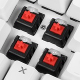 Sharkoon SKILLER SGK3 White, Gaming-Tastatur weiß, DE-Layout, Kailh Red