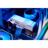 Kingston FURY DIMM 32 GB DDR5-5600  , Arbeitsspeicher weiß, KF556C40BWA-32, FURY Beast RGB, INTEL XMP