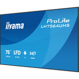 iiyama ProLite LH7564UHS-B1AG, Public Display schwarz (matt), UltraHD/4K, VA, WiFi, Fernbedienung