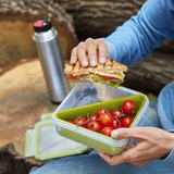 Emsa CLIP & GO Sandwichbox 0,85 Liter, Lunch-Box hellgrün/transparent, mit Einsatz in typischer Dreiecksform