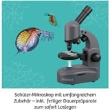 KOSMOS Mikroskop, Experimentierkasten 