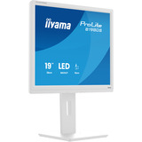 iiyama ProLite B1980S-W1, LED-Monitor 48 cm (19 Zoll), weiß (matt), SXGA, TN, HDMI, DP, Ergonomischer Standfuß