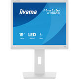 iiyama ProLite B1980S-W1, LED-Monitor 48 cm (19 Zoll), weiß (matt), SXGA, TN, HDMI, DP, Ergonomischer Standfuß