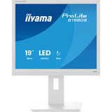 iiyama ProLite B1980S-W1, LED-Monitor 48 cm (19 Zoll), weiß (matt), SXGA, TN, HDMI, DP, Ergonomischer Standfuß