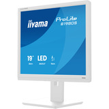 iiyama ProLite B1980S-W1, LED-Monitor 48 cm (19 Zoll), weiß (matt), SXGA, TN, HDMI, DP, Ergonomischer Standfuß
